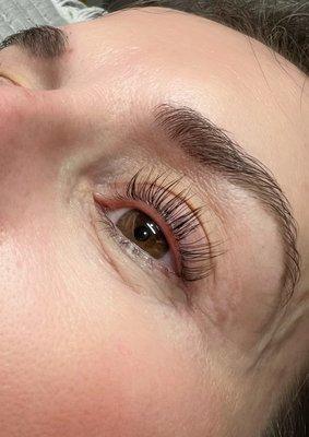 Lash lift with lash tinting