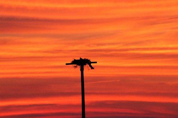 Linda Loring Nature Foundation