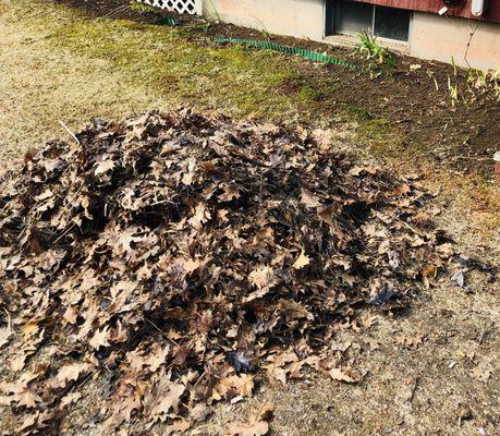 L&B Landscaping Services