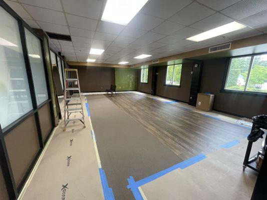 LM Panting and Cleaning