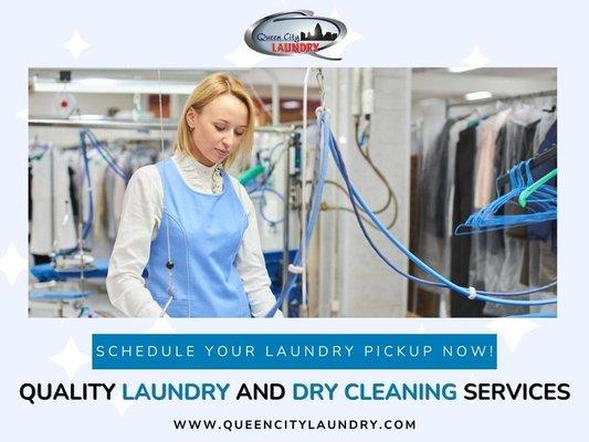 Queen City Laundry- Amelia