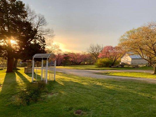 Youngquist Mobile Marine