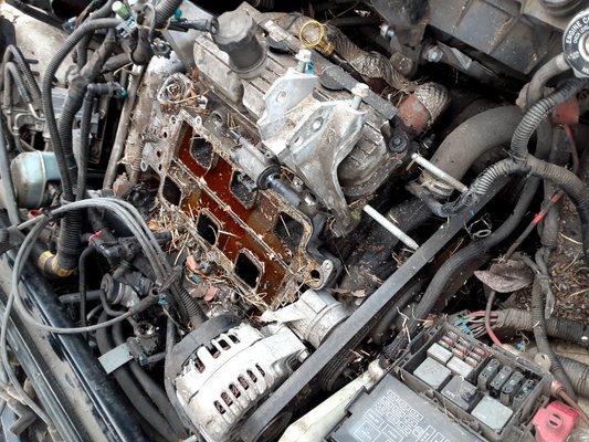 Keep your water level or 6your damage your engine