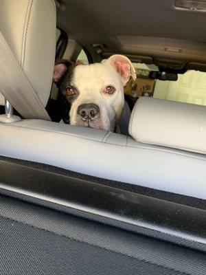 Brutie patutti, my baby