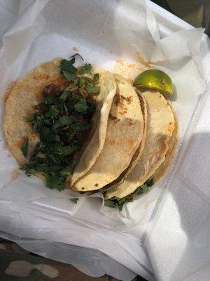 Tacos with Barbacoa meat