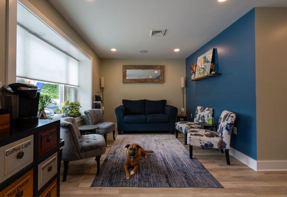 Bluebird Counseling Center