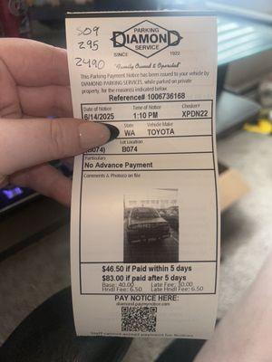 Diamond Parking Service