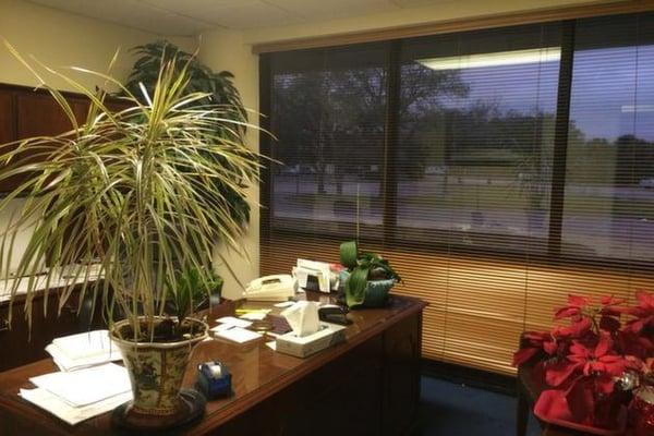 Donna M Laflamme Inc