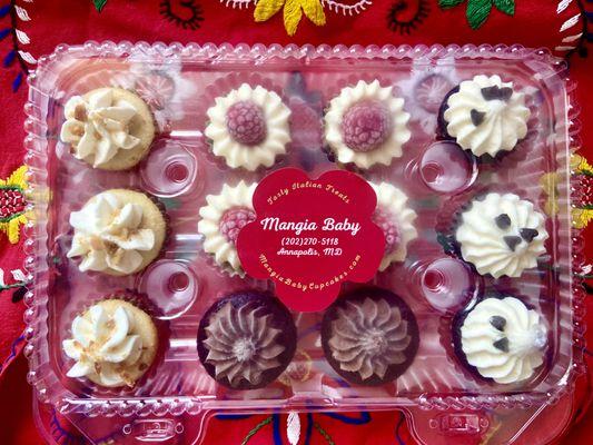 Mangia Baby Italian Cupcakes