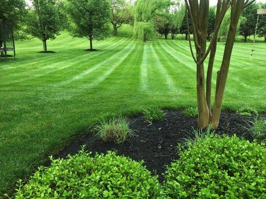 T&S Landscaping