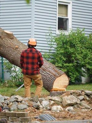 Bells Landscaping Charleston