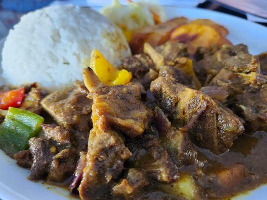 Curry goat with white rice