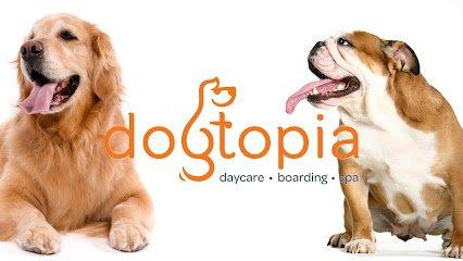 Dogtopia Of Montgomery