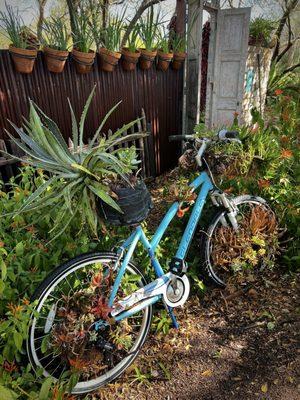 Tucson Botanical Gardens
