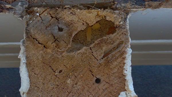 A & G Pest Control Services