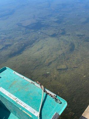 Jenkins Fishing Service