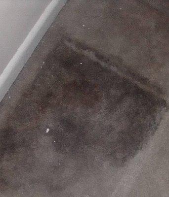 Vic Green Zap Cleaner repair to remove mold from A/C sleeve leak.