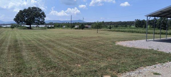 Tucker's Clean-Up And Handyman Services