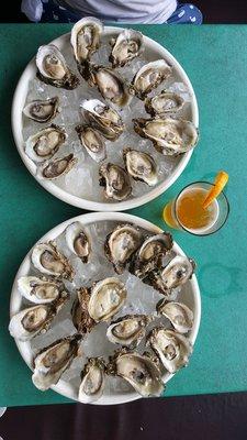 Bucket of oyster $25 in happy hour!