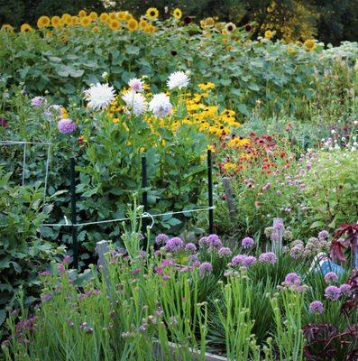 Day Farm Fresh Flowers