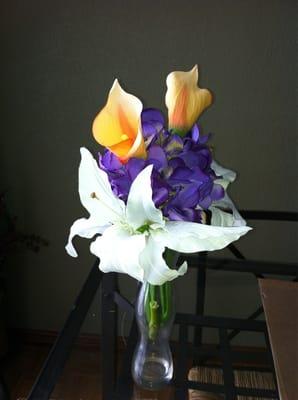 Elegance In Creation