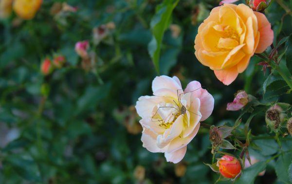 Martina's Photography