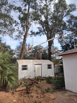 Still working in Casselberry