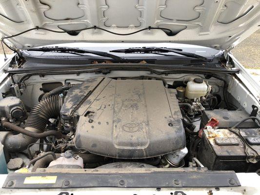 Petersen Auto Detail