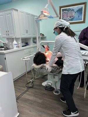 LP Dental Care Of Dr Loan Pham