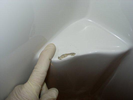 Surface Specialists Metro Inc