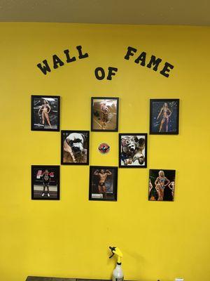 Olympia Gym & Fitness