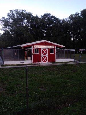 Mattie's Boarding Kennel