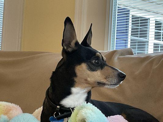 The La Crosse Animal Hospital