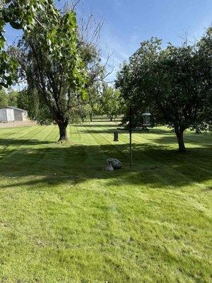 Favaro Property Maintenance