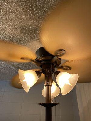 Pedestal 4-blade fan with light 3-lights