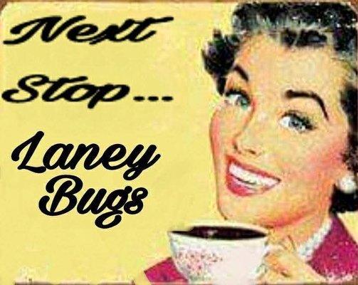 Laney Bugs Antiques