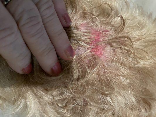 KOCT Voice of North County