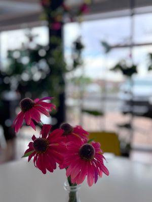 Berry Beet Juice Bar