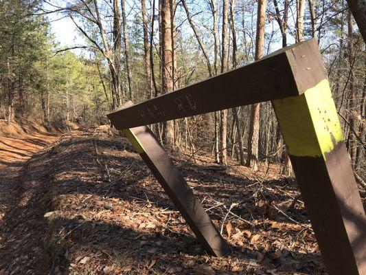 Dawson Forest Wildlife Management Area