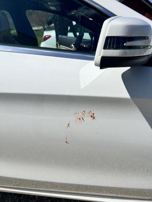 Crack Master Chicago