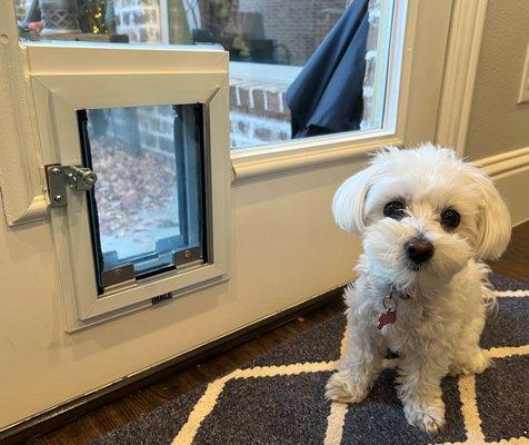 Peter Piper Pet Doors