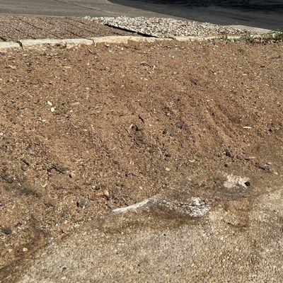 The Real Stump Busters Tree Service