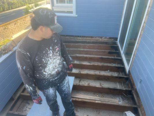 Sofi’s FairPainting