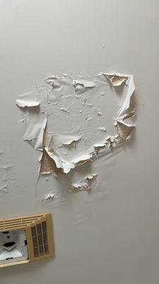 Southern Textures of Florida