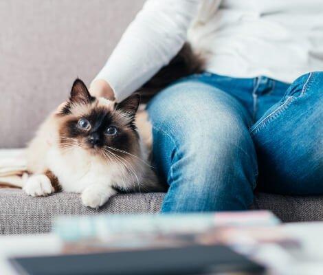 Woofie's of Denver East