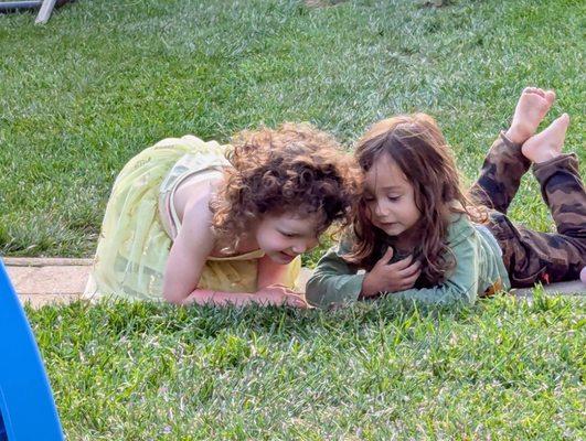 The Wildflower Patch Daycare