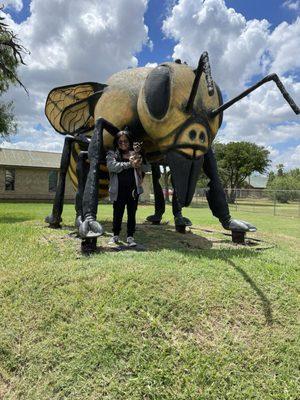 Hidalgo Public Library