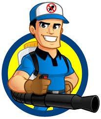 TNT Pest & Termite