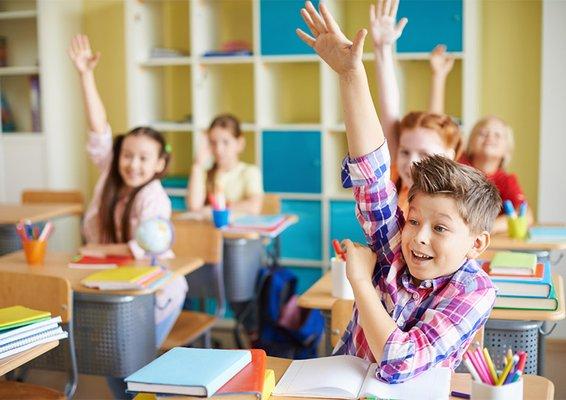 Social Detective Academy