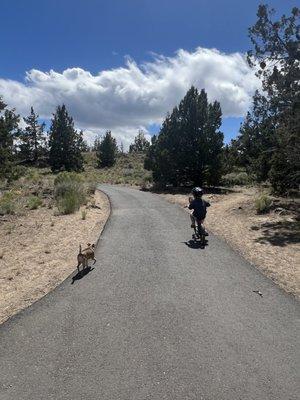 Bike path connecting the two ends of the park